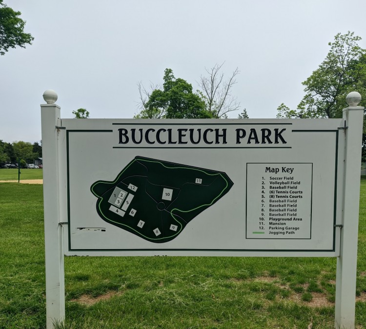 buccleuch-park-photo